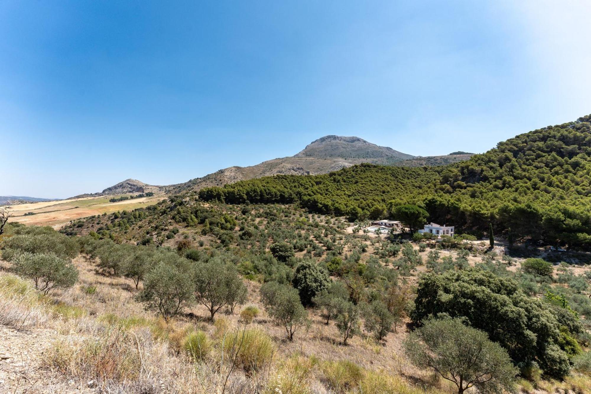 Cortijo La Zahurdilla Yunquera Esterno foto